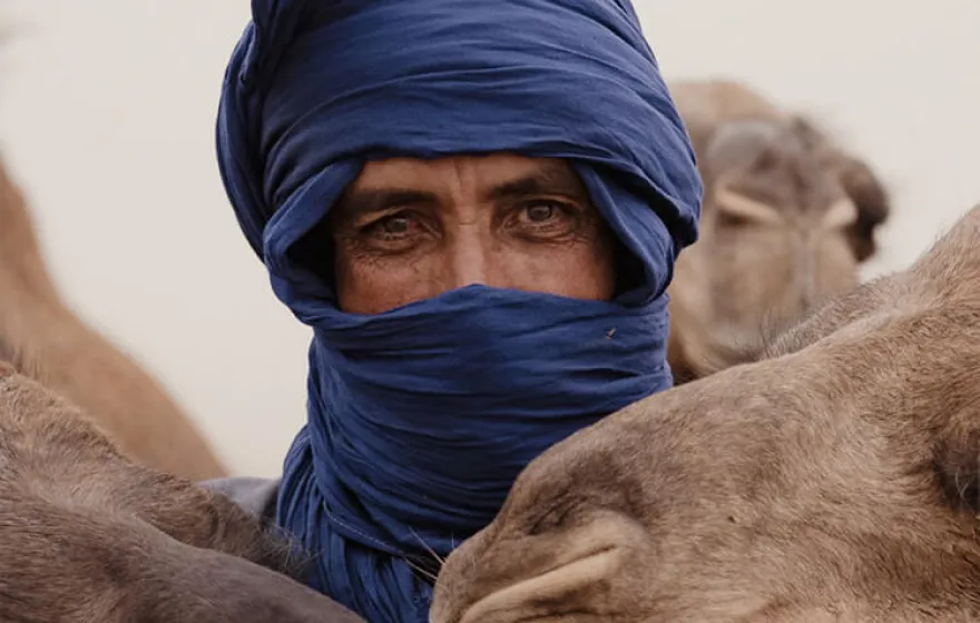 موطن