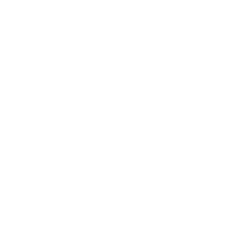 Vector